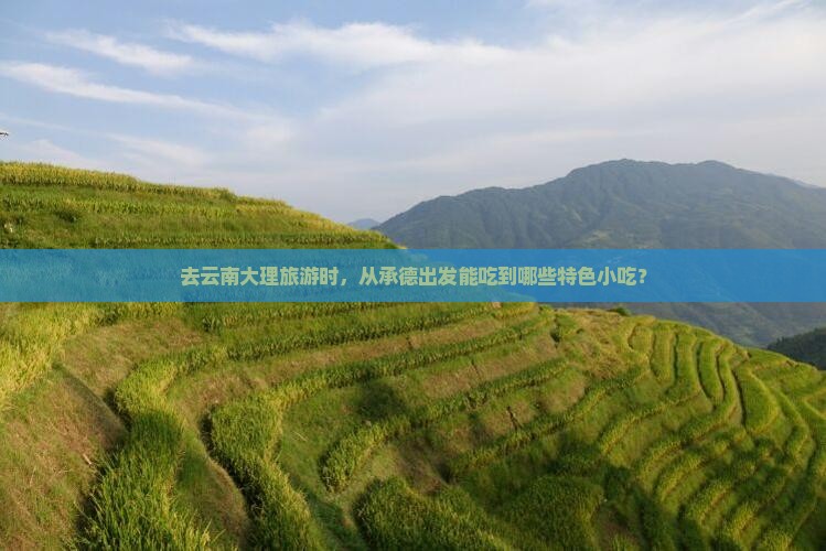 承德去云南大理旅游小吃