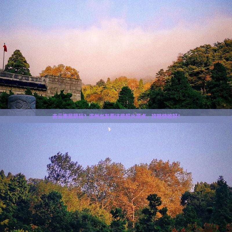 滨州去云南昆明景点