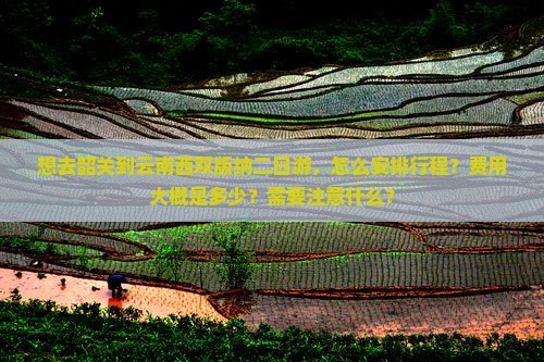 韶关去云南西双版纳二日游