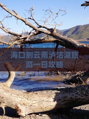 海口到云南泸沽湖一日
