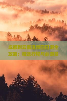 成都到云南温泉四日游