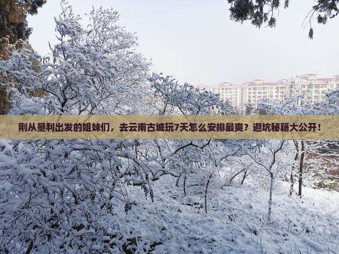 垦利到云南古城攻略