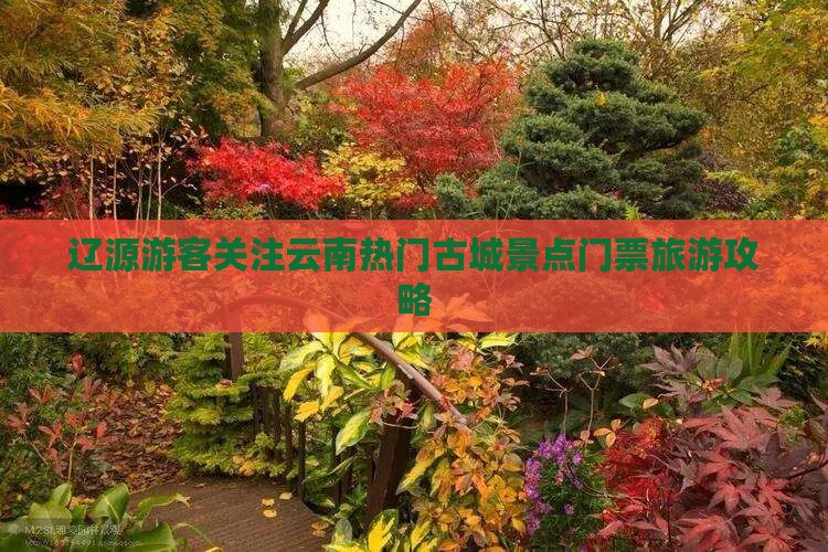 辽源到云南古城门票