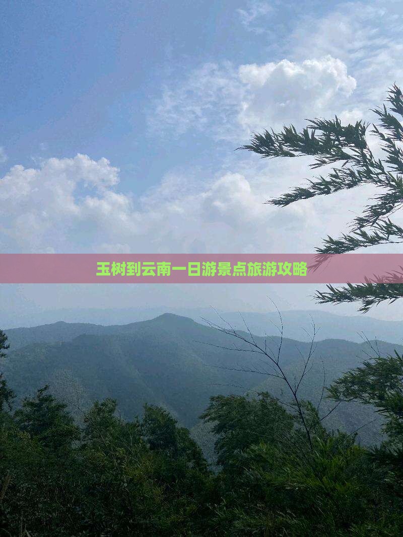 玉树到云南一日