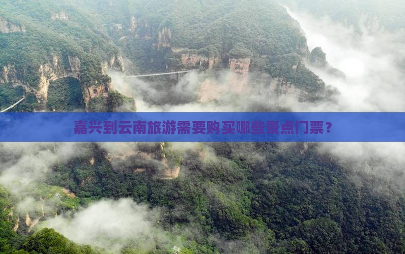 嘉兴到云南门票