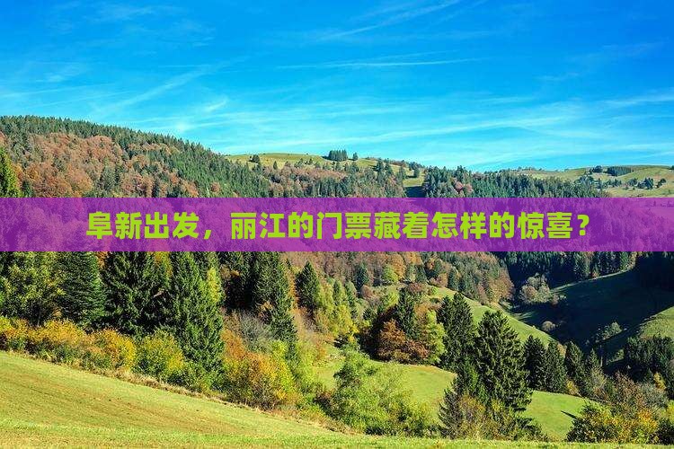 阜新去云南丽江门票