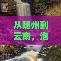 随州去云南温泉门票