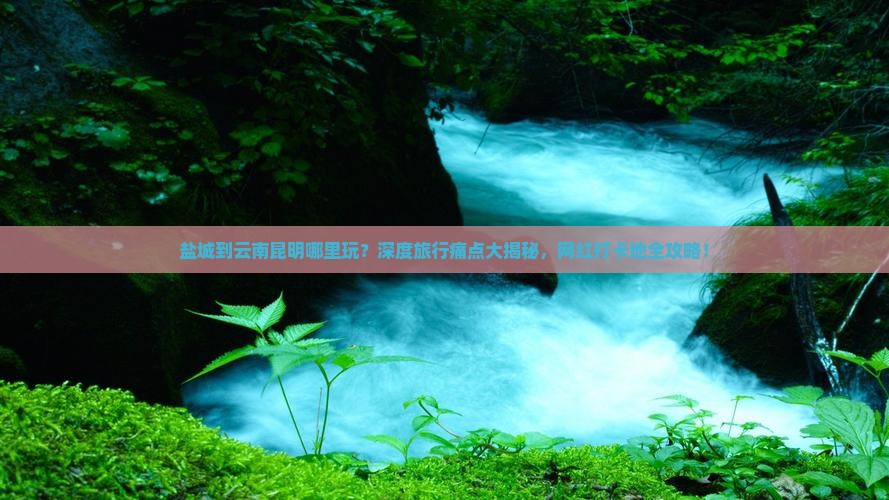 盐城到云南昆明哪里玩