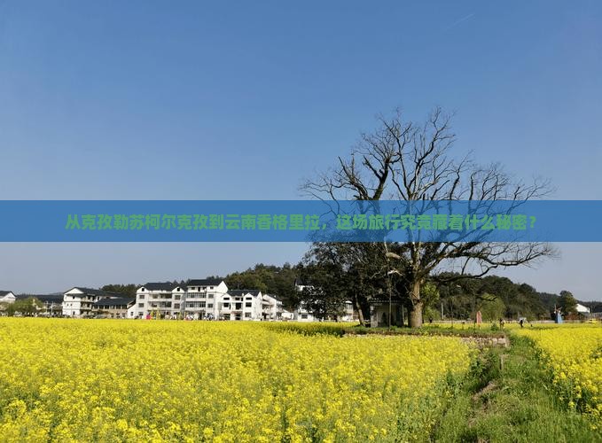 克孜勒苏柯尔克孜去云南香格里拉景点
