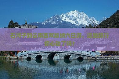 石河子去云南西双版纳六日游