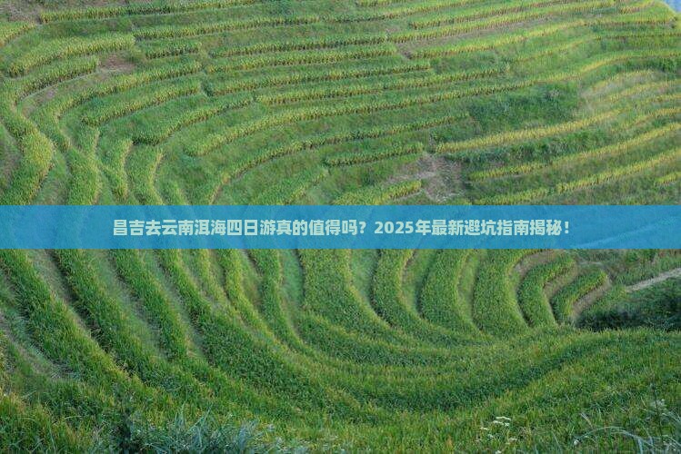 昌吉去云南洱海四日游