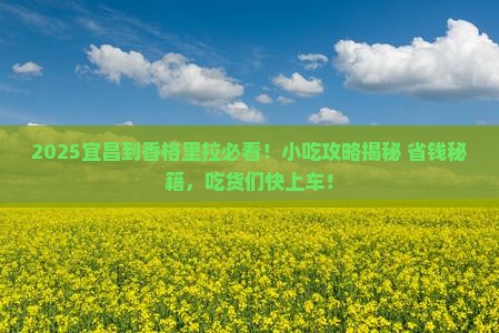 宜昌到云南香格里拉旅游小吃