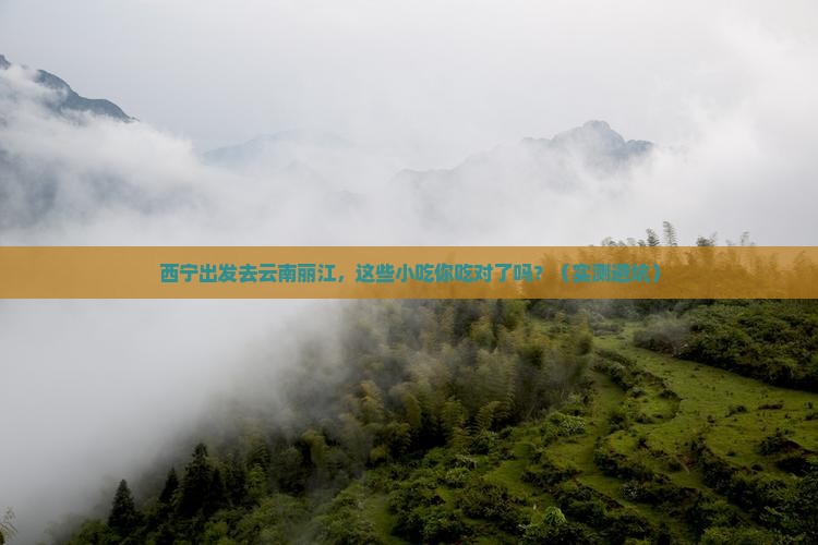 西宁去云南丽江旅游小吃