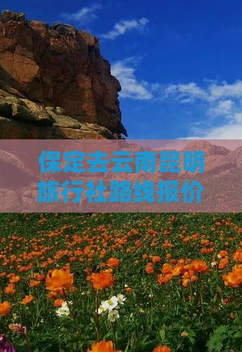 保定去云南昆明旅行社