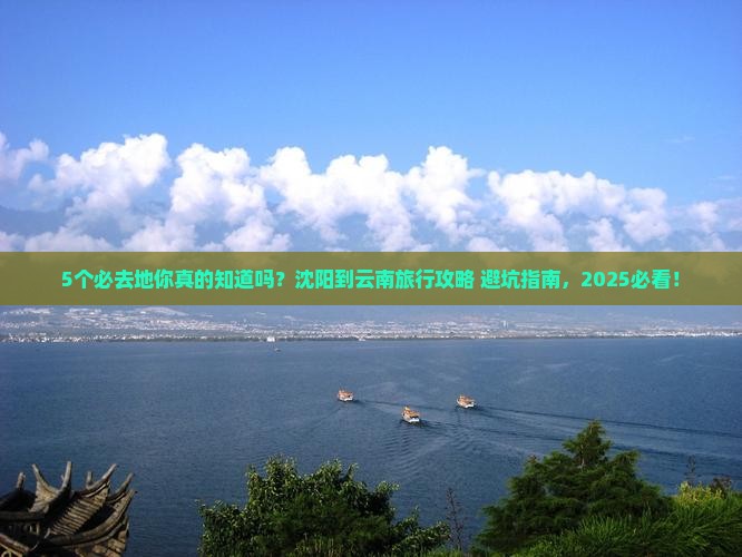 沈阳到云南必去地