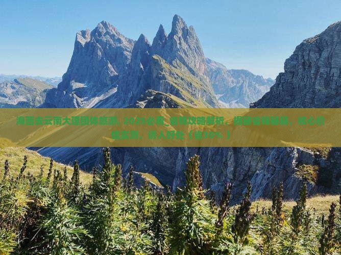 海西去云南大理团体旅游