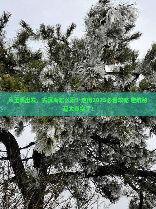 玉溪到云南洱海攻略