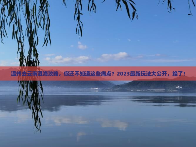 温州去云南洱海攻略
