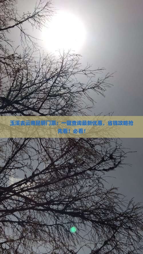 玉溪去云南昆明门票