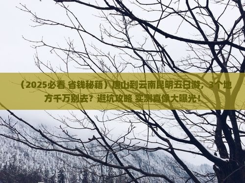 唐山到云南昆明五日游