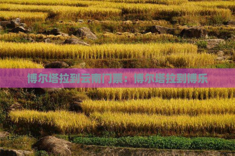 博尔塔拉到云南门票