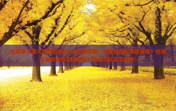 松原到云南大理四日游