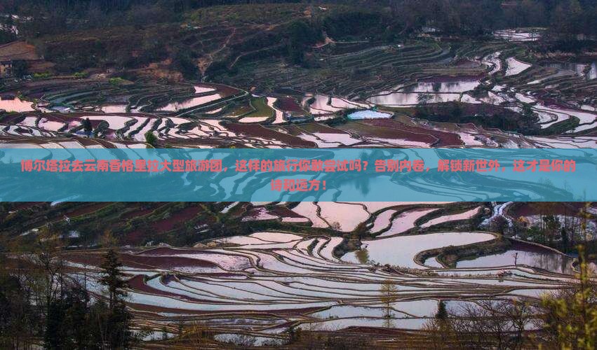 博尔塔拉去云南香格里拉大型旅游团