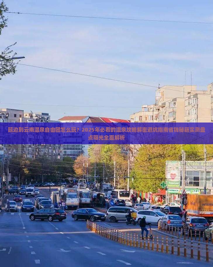延边到云南温泉自由团
