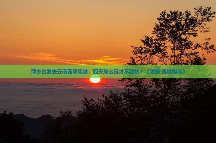 萍乡到云南西双版纳四日游