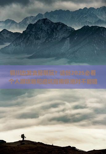 铜川到云南昆明个人游
