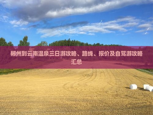 郴州到云南温泉三日游