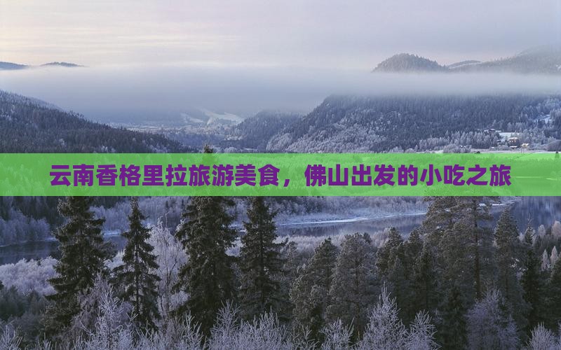 佛山去云南香格里拉旅游小吃