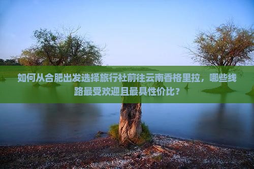 如何从合肥出发选择旅行社前往云南香格里拉，哪些线路最受欢迎且最具性价比？