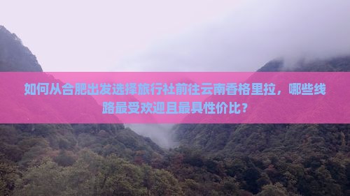 如何从合肥出发选择旅行社前往云南香格里拉，哪些线路最受欢迎且最具性价比？