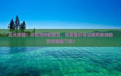 五天穿越！呼和浩特的朋友，你准备好探访西双版纳的热带奇遇了吗？