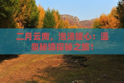 二月云南，泡汤暖心：温泉秘境探秘之旅！