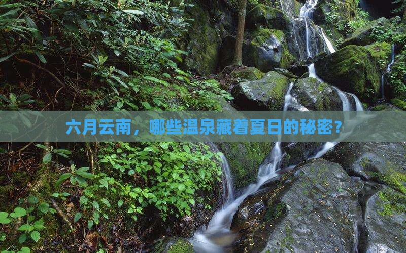 六月云南，哪些温泉藏着夏日的秘密？