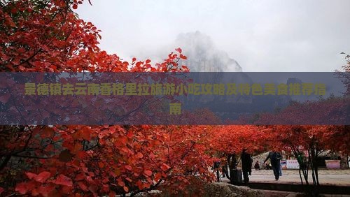 景德镇去云南香格里拉旅游小吃攻略及特色美食推荐指南