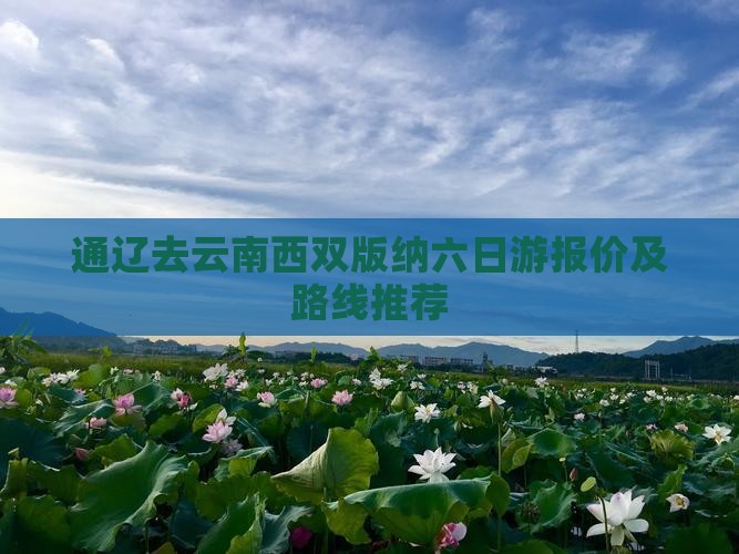 通辽去云南西双版纳六日游报价及路线推荐