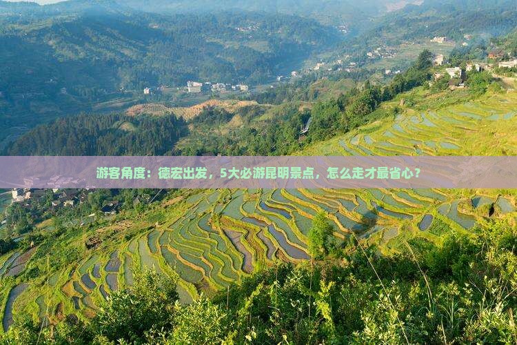 游客角度：德宏出发，5大必游昆明景点，怎么走才最省心？