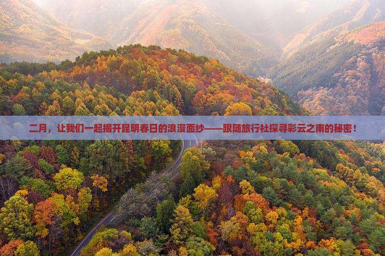 二月，让我们一起揭开昆明春日的浪漫面纱——跟随旅行社探寻彩云之南的秘密！
