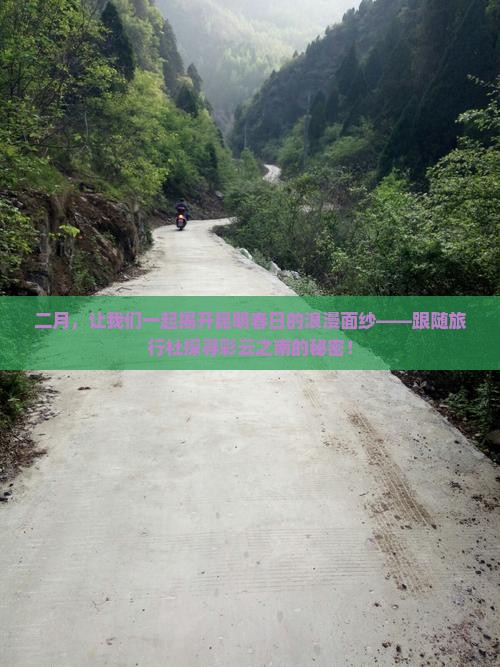 二月，让我们一起揭开昆明春日的浪漫面纱——跟随旅行社探寻彩云之南的秘密！