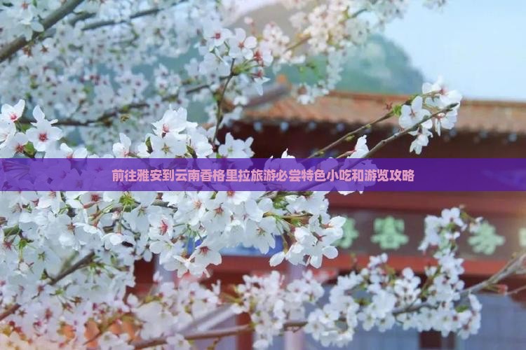 前往雅安到云南香格里拉旅游必尝特色小吃和游览攻略