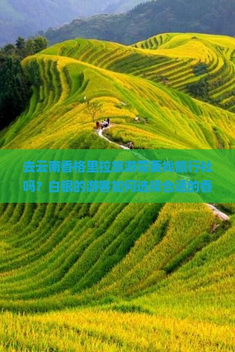 去云南香格里拉旅游需要找旅行社吗？白银的游客如何选择合适的香格里拉旅行团？