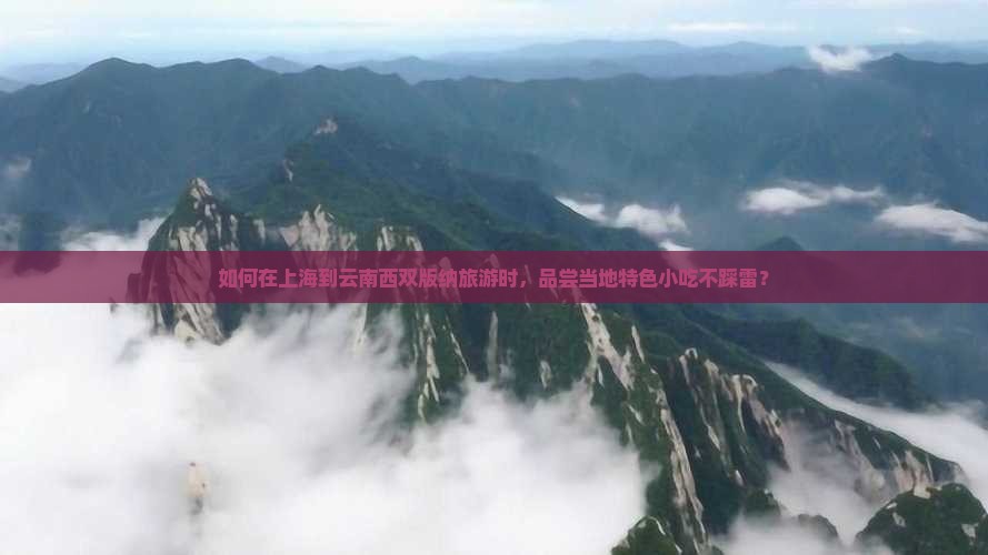 如何在上海到云南西双版纳旅游时，品尝当地特色小吃不踩雷？