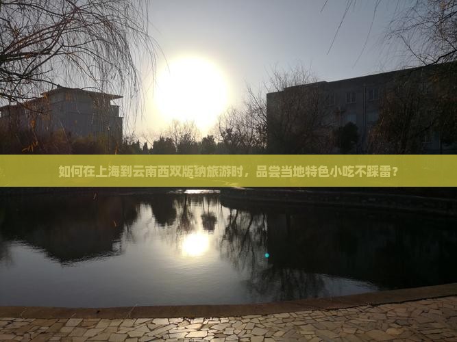 如何在上海到云南西双版纳旅游时，品尝当地特色小吃不踩雷？