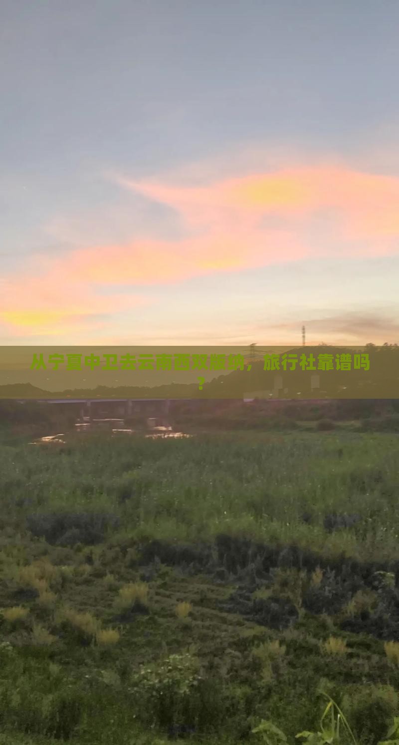 从宁夏中卫去云南西双版纳，旅行社靠谱吗？