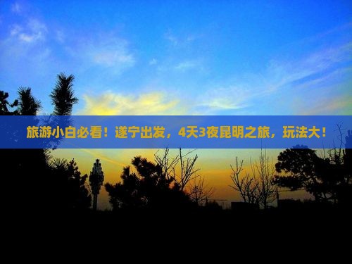 旅游小白必看！遂宁出发，4天3夜昆明之旅，玩法大！