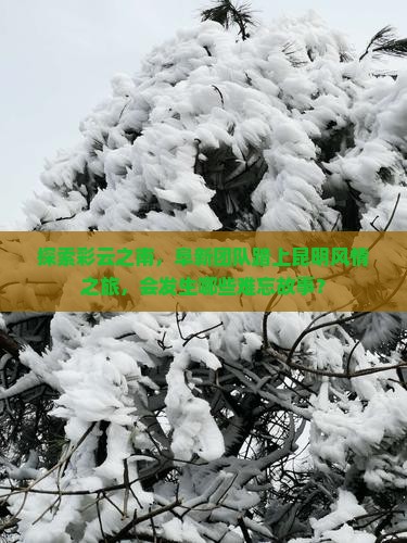 探索彩云之南，阜新团队踏上昆明风情之旅，会发生哪些难忘故事？