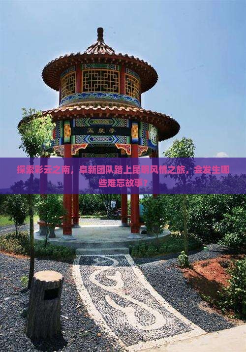 探索彩云之南，阜新团队踏上昆明风情之旅，会发生哪些难忘故事？